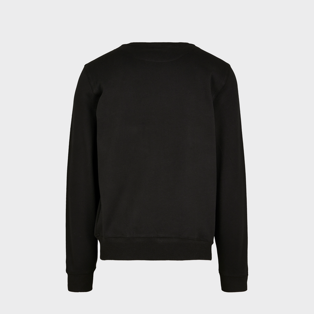 Vīriešu Džemperis Premium Crewneck BY119