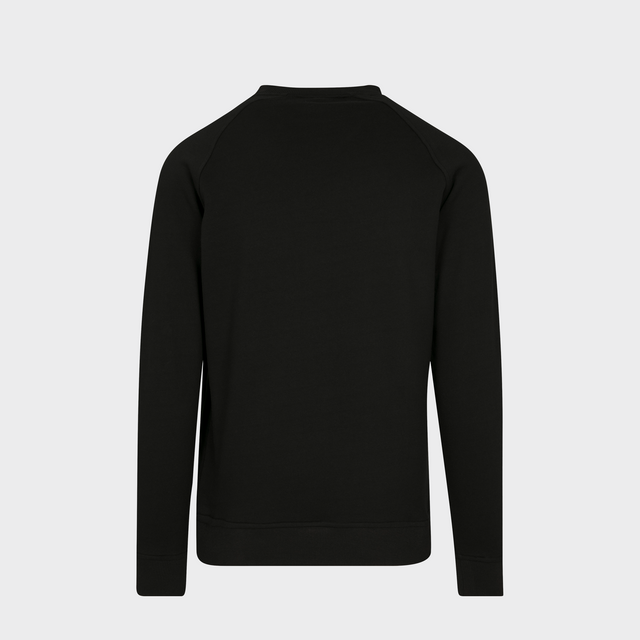 Vīriešu Džemperis Raglan Sweat Crewneck BY094