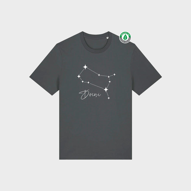 Organiskās kokvilnas T-krekls "Zvaigznājs - Dvīņi"
