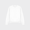 Arctic White